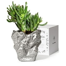 Ceramic Planter 5 inch Gardens Pottery Modern Succulents Containers with Drain Hole Saucer, Decorate Home, Office & Outdoor