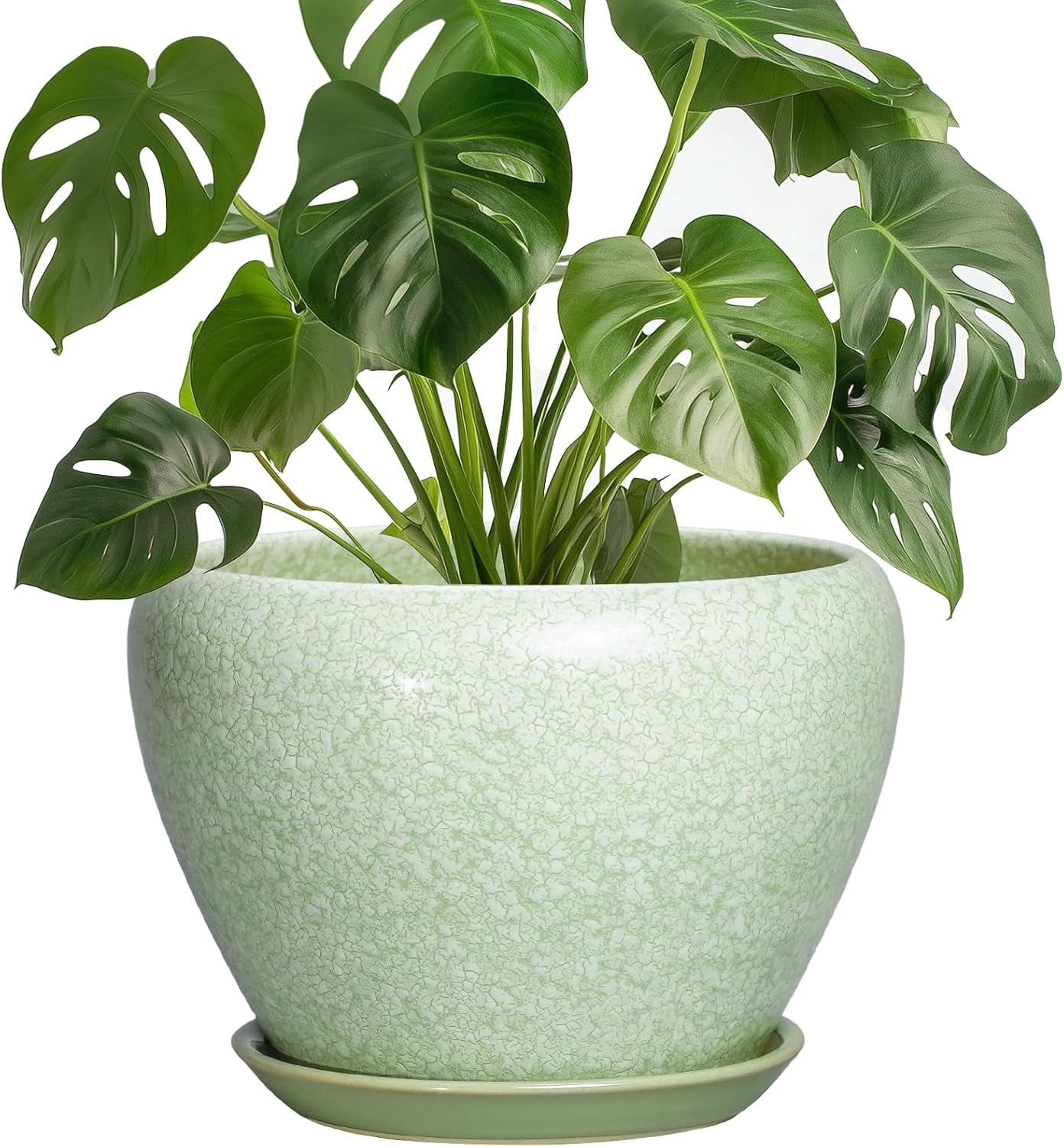 Ceramic Planter - 8 Inch Plant Pot with Drainage Hole and Saucer, Indoor Planters for Indoor Outdoor Plants, Decorative Flower Pots, Office Decor, Plant Lover Gifts, Crackle Light Green