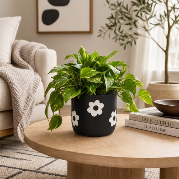 Decorative Flower Pots with Daisy Pattern for Home Decor - Indoor and Outdoor Plant Pot for Living Room, Garden, or Patio Decor - Planter for Office, Kitchen, or Side Table - 6", Black & White