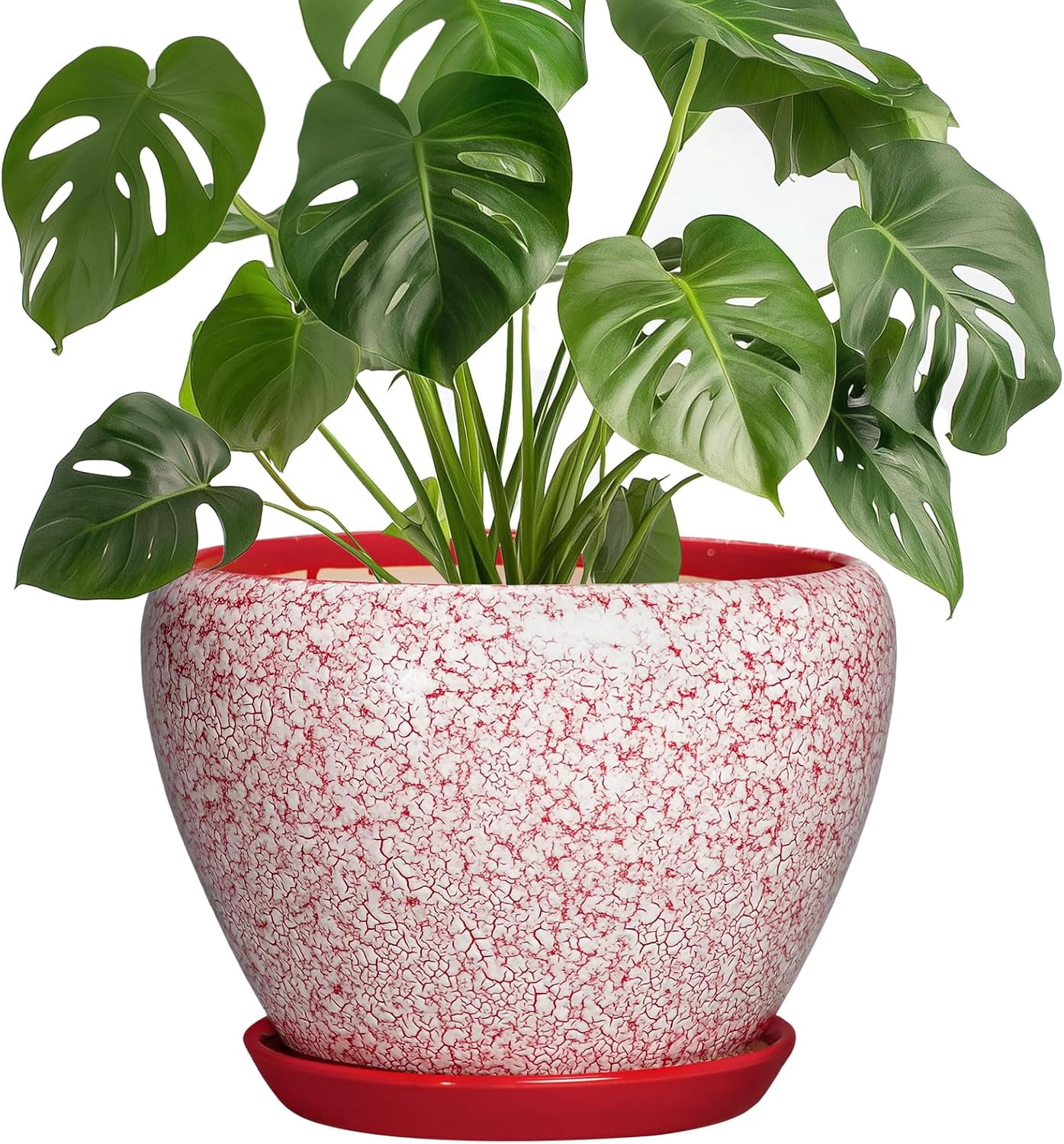 Ceramic Planter for Plants - 8 Inch Plant Pot Indoor with Drainage Hole and Tray, Round Flower Pots for Indoor Outdoor, Modern Planter, Home Decor, Gifts for Plant Lovers, Crackle Red