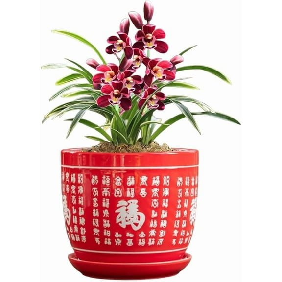 Ceramic Planter Pot Round Plant5.5 Inch Indoor Flower pots Garden Decor with Drainage Tray - Large Ceramic Pots for Plants with Saucer - Ideal for Home Dcor and Patio Greenery