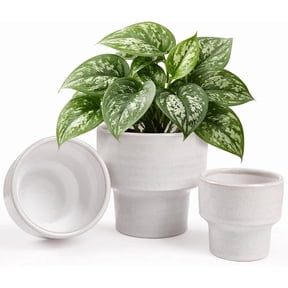Ceramic Planter Pot Set of 3, 4/5/6 Inch Indoor Decorative Cachepot for Pothos & , No Drainage Hole, Modern Tabletop Desk Display Pot for Decor, Pockmarks White