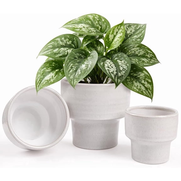 Ceramic Planter Pot Set of 3, 4/5/6 Inch Indoor Decorative Cachepot for Pothos & , No Drainage Hole, Modern Tabletop Desk Display Pot for Decor, Pockmarks White