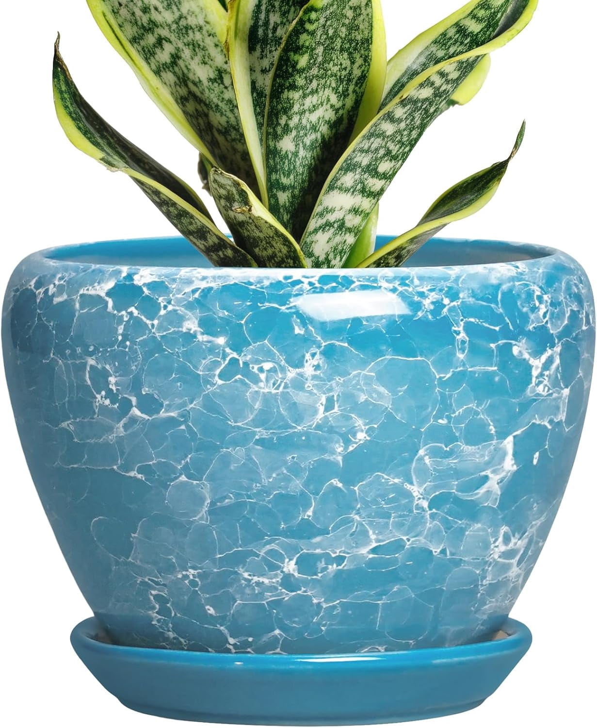 Ceramic Planters for Indoor Plants - 6 Inch Plant Pot with Drainage Hole and Saucer, Round Plant Pots, Modern Decorative Succulent Planter, Desk Decor, Gifts for Plant Lovers, Bubble Blue