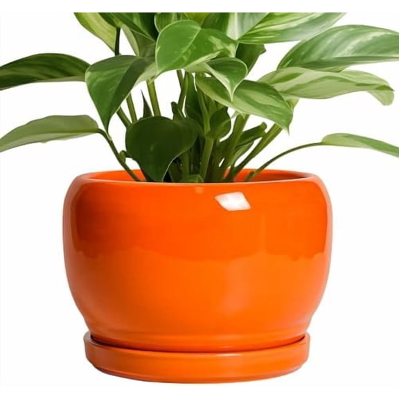Ceramic Pot for Plants - 8 Inch Plant Pot Indoor Outdoor, Modern Round Planter with Drainage Hole and Saucer, Decorative Planter for Flower, Office Decor, Garden Gifts for Women, Orange