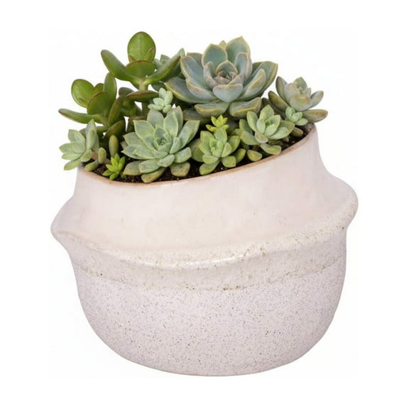 Marius Ceramic Pot Set (Set of 2)
