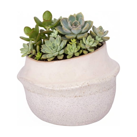 Marius White Ceramic Planter Pot, Round Indoor Planter, Modern Decorative Home Accent