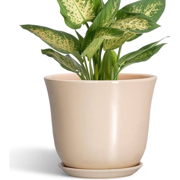Ceramic Pots for Plants - 5.6 Inch Plant Pot with Drainage Hole and Saucer, Round Orchid Succulent Pots for Indoor Outdoor, Modern Small Planter, Home Office Decor, Gifts for Women, Beige