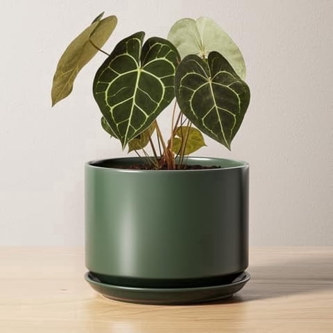 BEMAY 6.8" Bamboo Green Ceramic Plant Pot with Drainage Holes and Attached Saucer, Round Indoor Plant Pot with Mesh Pad for Herbs, Succulents and Houseplants