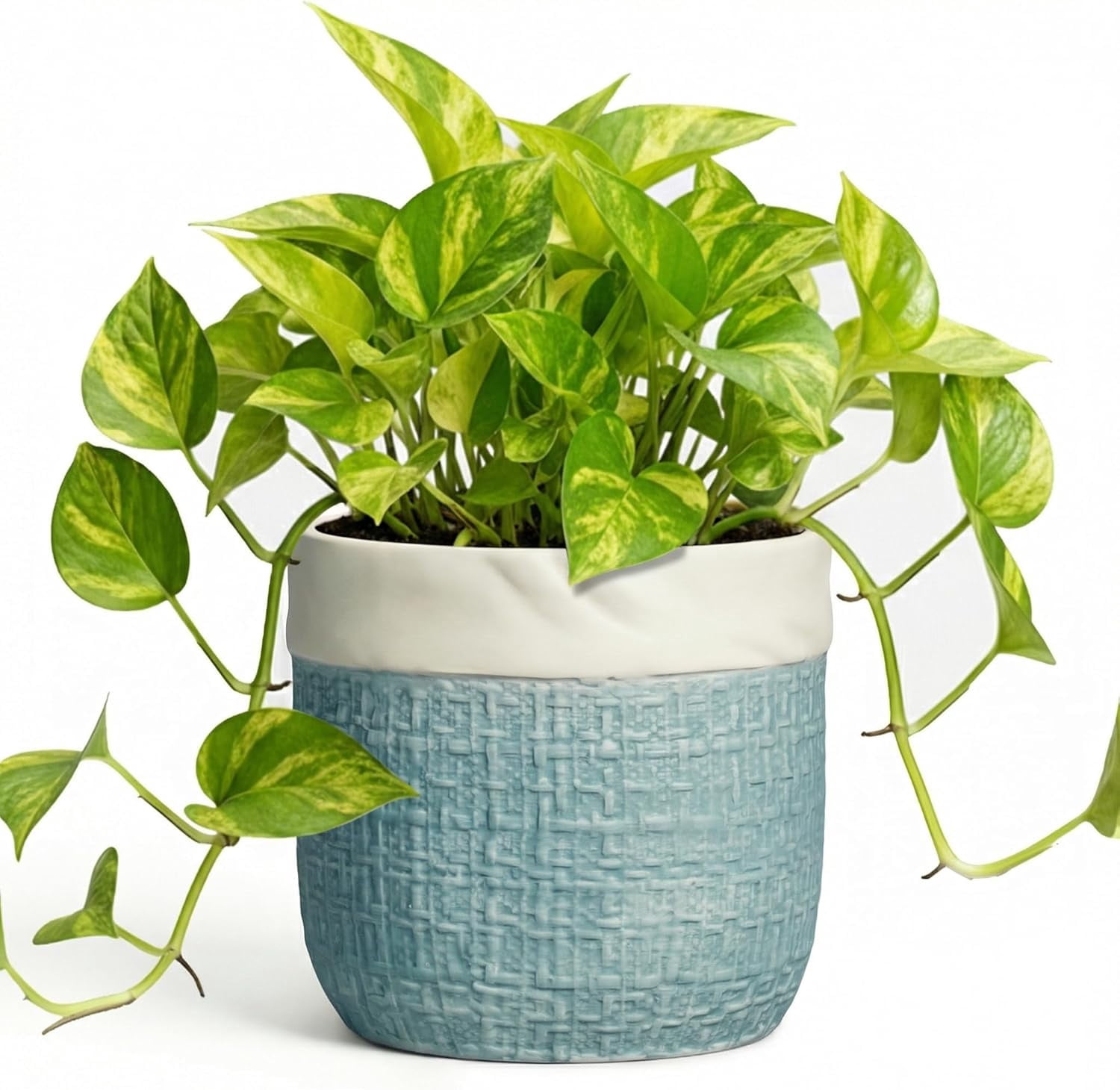 Ceramic Pots for Plants - 6 Inch Plant Pot for Indoor Succulent Plants, Round Planters with Drainage Hole, Decorative Flower Pots, Garden House Room Decor, Gardening Gifts for Women, Blue