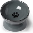 thumbnail image 1 of Ceramic Raised Cat Dishes or Small Dog Bowl, Pet Food or Water Bowls,5.3-Inch Gray 10oz, 1 of 5