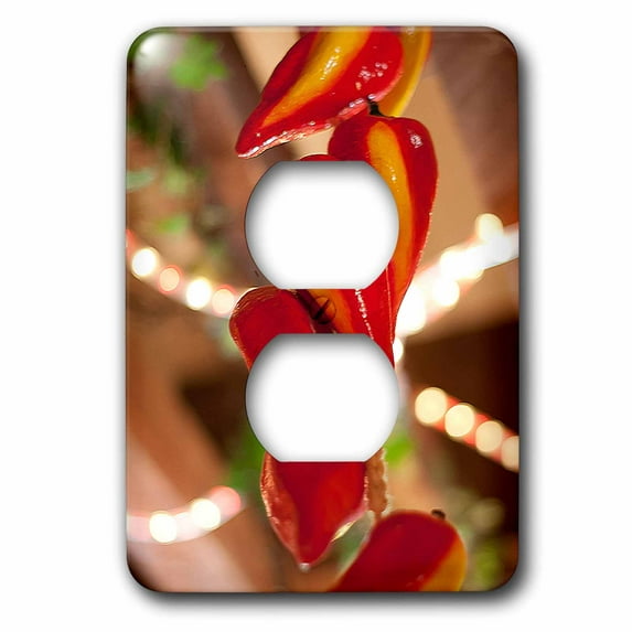 3dRose, Ceramic Red Hot Chili Peppers Strung on String and Hanging on From a Ceiling in a Mexican Restaurant, 2 plug outlet cover