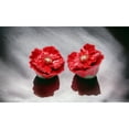 thumbnail image 1 of Ceramic Red Poppy Flower Salt and Pepper Shakers 2.5in, 1 of 4