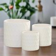thumbnail image 1 of Hexora Ceramic Patterned Planter Set (Set of 3), 1 of 4