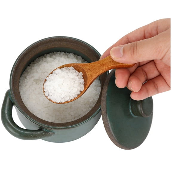 Ceramic Salt Cellar with Lid and Wooden Spoon, Rough Pottery Seasoning Pot, 4.3 x 3.5 x 2.4 in Kitchen Jar, Rustic Spice Bowl for Sugar, Salt, Spices