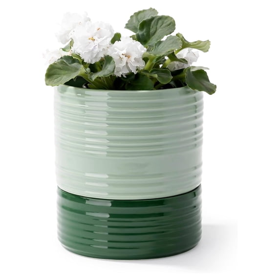 Flower Consumption Ceramic Self Watering Plant Pot with Wick Rope for Indoor Outdoor Use 6 ...