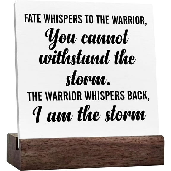 Ceramic Sign 4x4 Inch Inspirational Quote Ceramic Sign Decor I Am The Storm Square Ceramic Plaque Table Decorations Positive Ceramic Plaque With Wooden Stand For Shelf Home Office Gift For Women Men