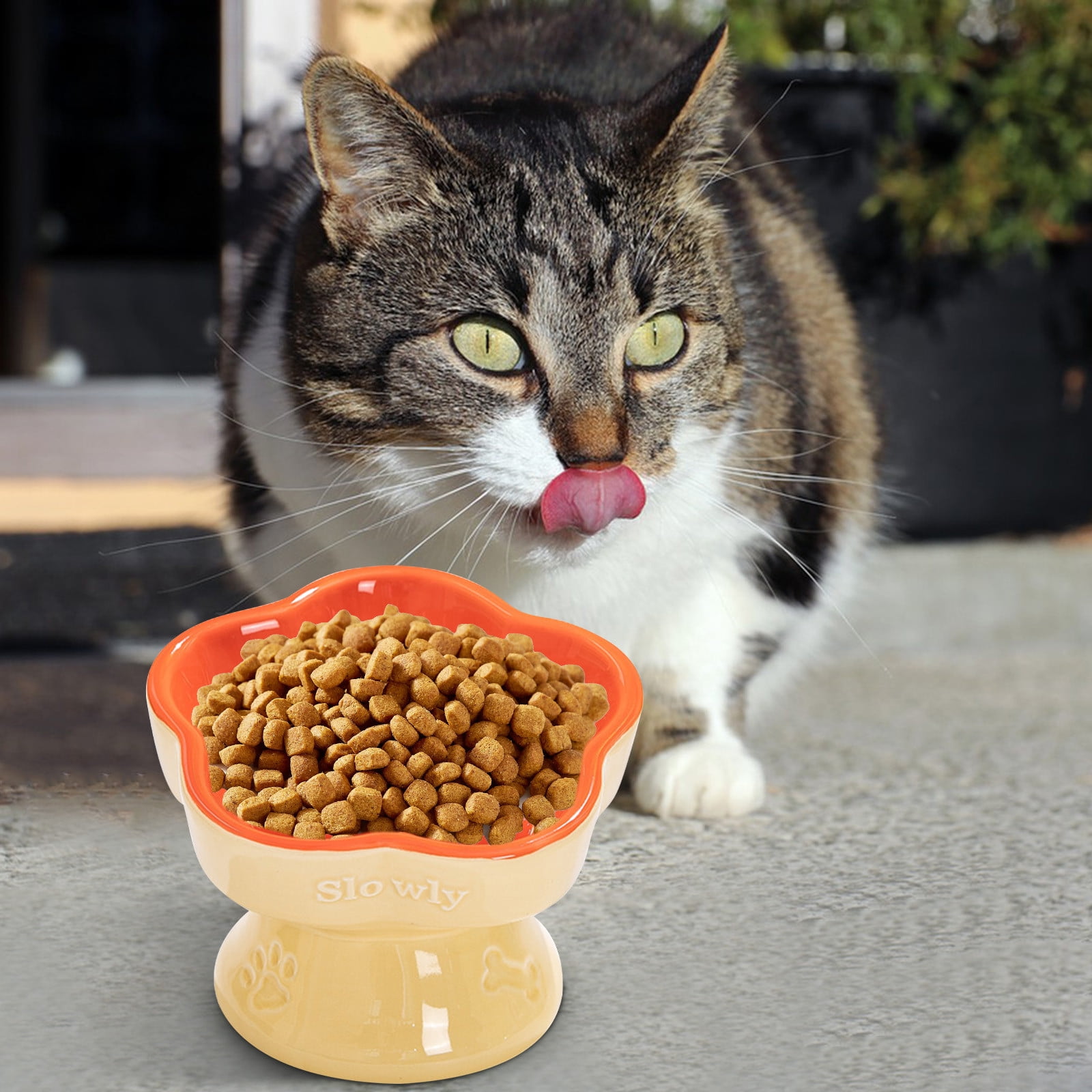 Ceramic Slow Feeder Bowl for Cats and Small Dogs, Elevated Pet Food Dish with Non-Slip Base, Easy to Clean Flower Design Bowl