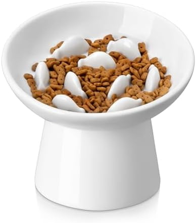 Ceramic Slow Feeder Cat Bowl, 6.25 Inch Elevated Cat Slow Feeder Bowl, Anti Vomiting for Dry and Wet Food, White