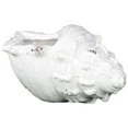 thumbnail image 1 of Ceramic Small Shell White, 1 of 2