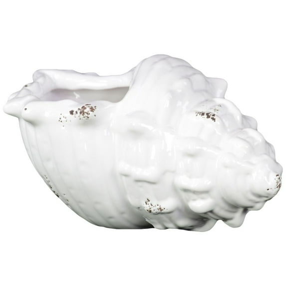 Ceramic Small Shell White