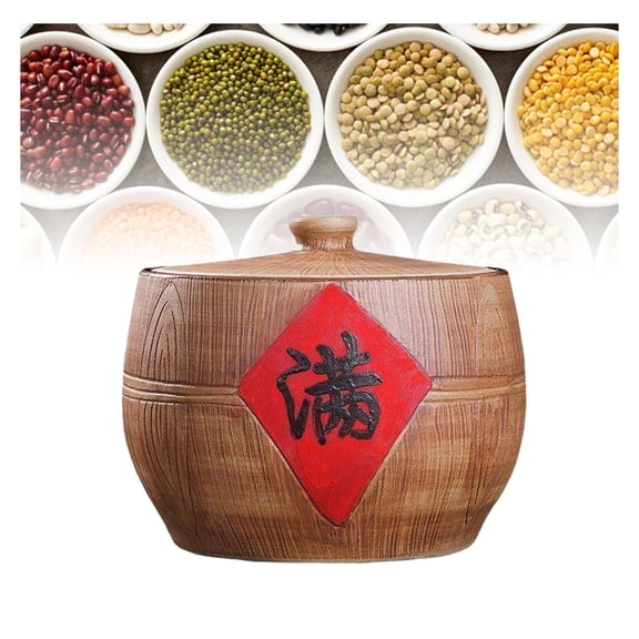 Ceramic Storage Jars For Kitchen,Rice Storage Container Airtight Food Container,Rices Bucket With Lid Cereal Dry Food Storage,Rice Storage Bin for Flour Cereal Snacks