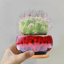 Ceramic Succulent Pots with Drainage Hole & Attached Saucer, Glazed Small Planters for Indoor Cactus & Flowers, Decorative Home & Garden Planter in Stylish Color Blends