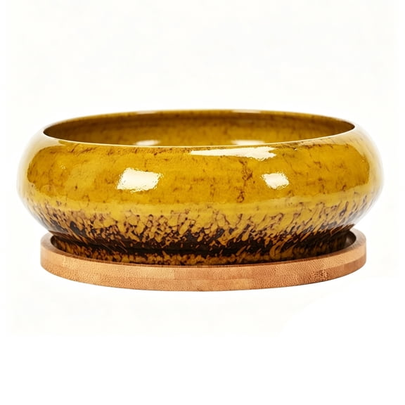 Ceramic Succulents Planter Bowl Round Shallow Desktop Container for Flower Succulents Cactuses Small Plant Decoration