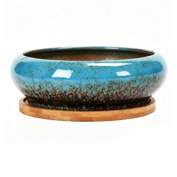 Ceramic Succulents Planter Container Round Shallow Bowl Hole for Desktop Cactuses and Small Plant Decorative Container