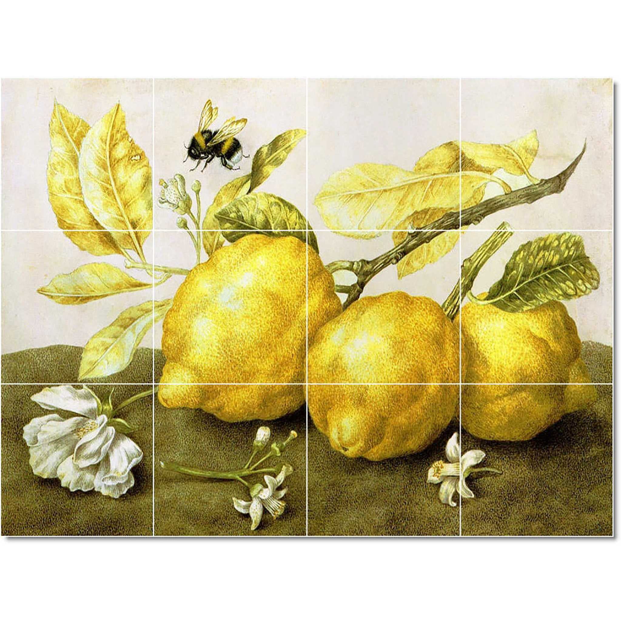 Ceramic Tile Mural-Giovanna Garzoni Birds Painting 27. 30" w x 18" h using (15) 6 x 6 ceramic tiles