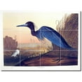 thumbnail image 1 of Ceramic Tile Mural-John Audubon Birds Painting 31. 32" w x 24" h using (12) 8 x 8 ceramic tiles, 1 of 3
