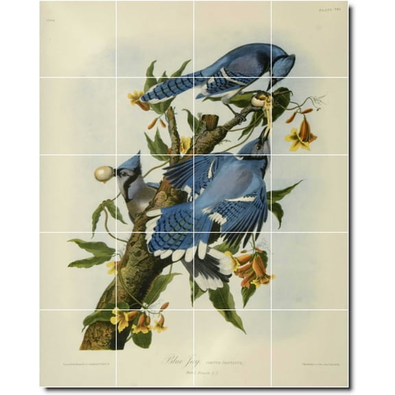 Ceramic Tile Mural-John Audubon Birds Painting 32. 24" w x 30" h using (20) 6 x 6 ceramic tiles