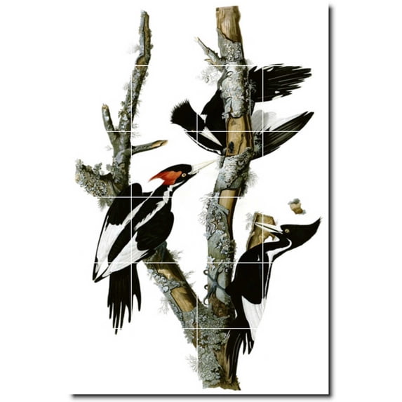 Ceramic Tile Mural-John Audubon Birds Painting 34. 24" w x 36" h using (24) 6 x 6 ceramic tiles