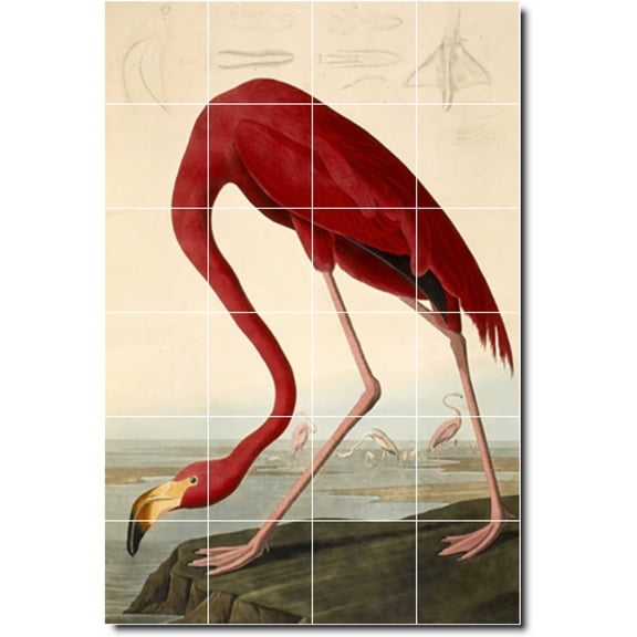 Ceramic Tile Mural-John Audubon Birds Painting 36. 24" w x 36" h using (24) 6 x 6 ceramic tiles
