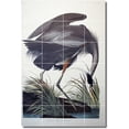 thumbnail image 1 of Ceramic Tile Mural-John Audubon Birds Painting 38. 17" w x 25.5" h using (24) 4.25 x 4.25 ceramic tiles, 1 of 3
