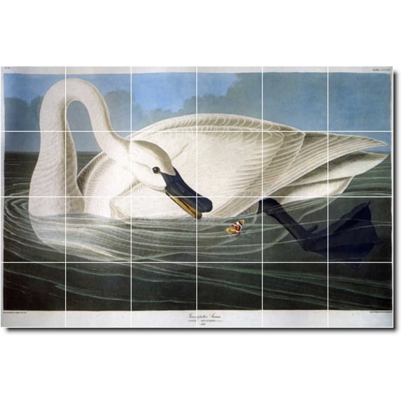 Ceramic Tile Mural-John Audubon Birds Painting 42. 48" w x 32" h using (24) 8 x 8 ceramic tiles