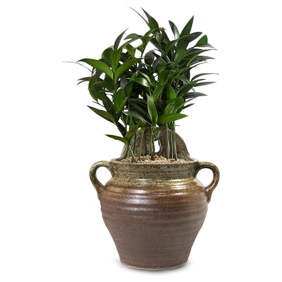 Ceramic Vertical Wall Hanging Planter Flower Pot, Style 3