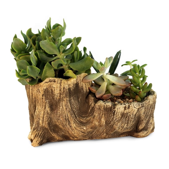 Ceramic Wood Plant Pot | Indoor Planter for Succulents & Flowers (Driftwood Boot)