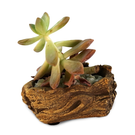 Ceramic Wood Plant Pot | Indoor Planter for Succulents & Flowers (Driftwood Wave)
