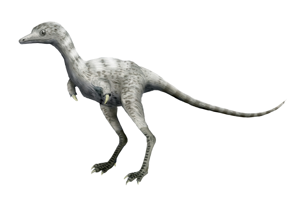Ceratonykus dinosaur Canvas Art - Nobumichi TamuraStocktrek Images (18 x 12)