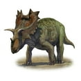 thumbnail image 1 of Ceratops montanus, a prehistoric era dinosaur from the Late Cretaceous period Poster Print (30 x 25), 1 of 3