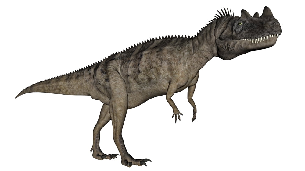 Ceratosaurus dinosaur Canvas Art - Elena DuvernayStocktrek Images (19 x 11)