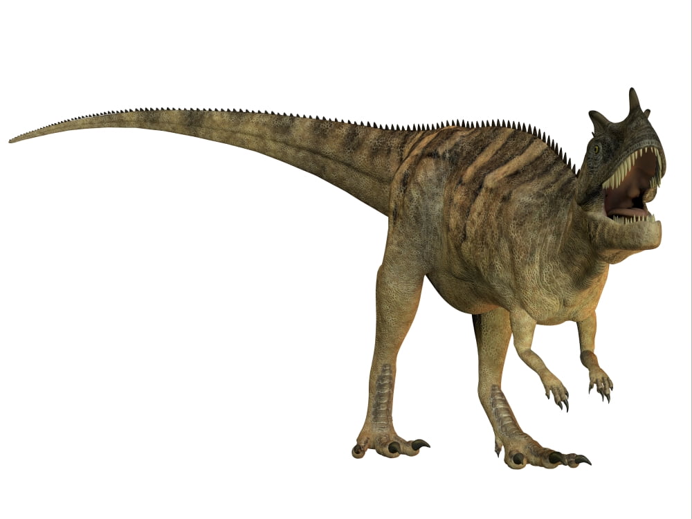Ceratosaurus dinosaur from the Jurassic Period Canvas Art - Corey FordStocktrek Images (17 x 13)