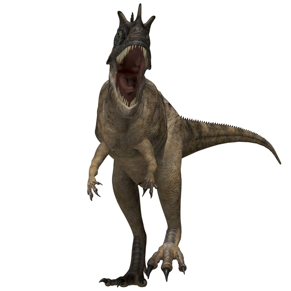 Ceratosaurus dinosaur from the Jurassic Period Canvas Art - Corey FordStocktrek Images (29 x 29)