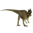 thumbnail image 1 of Ceratosaurus dinosaur from the Jurassic Period Poster Print, 1 of 2