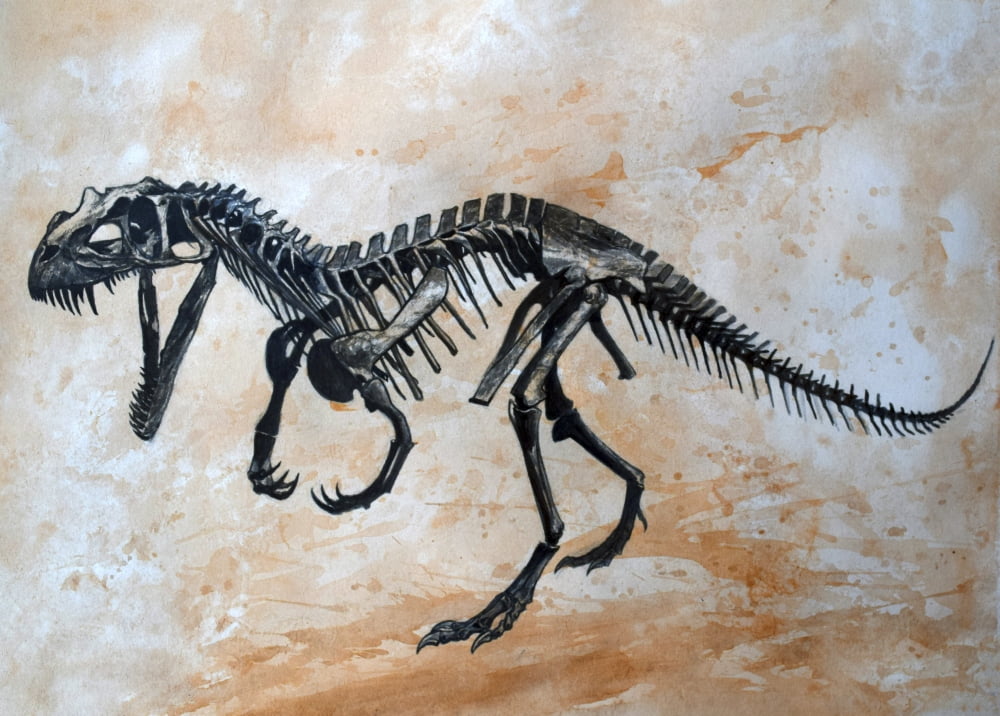 Ceratosaurus dinosaur skeleton Canvas Art - Harm PlatStocktrek Images (17 x 12)