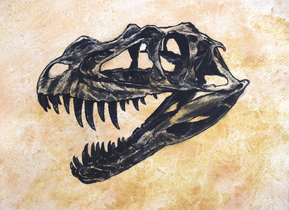 Ceratosaurus dinosaur skull Canvas Art - Harm PlatStocktrek Images (33 x 24)
