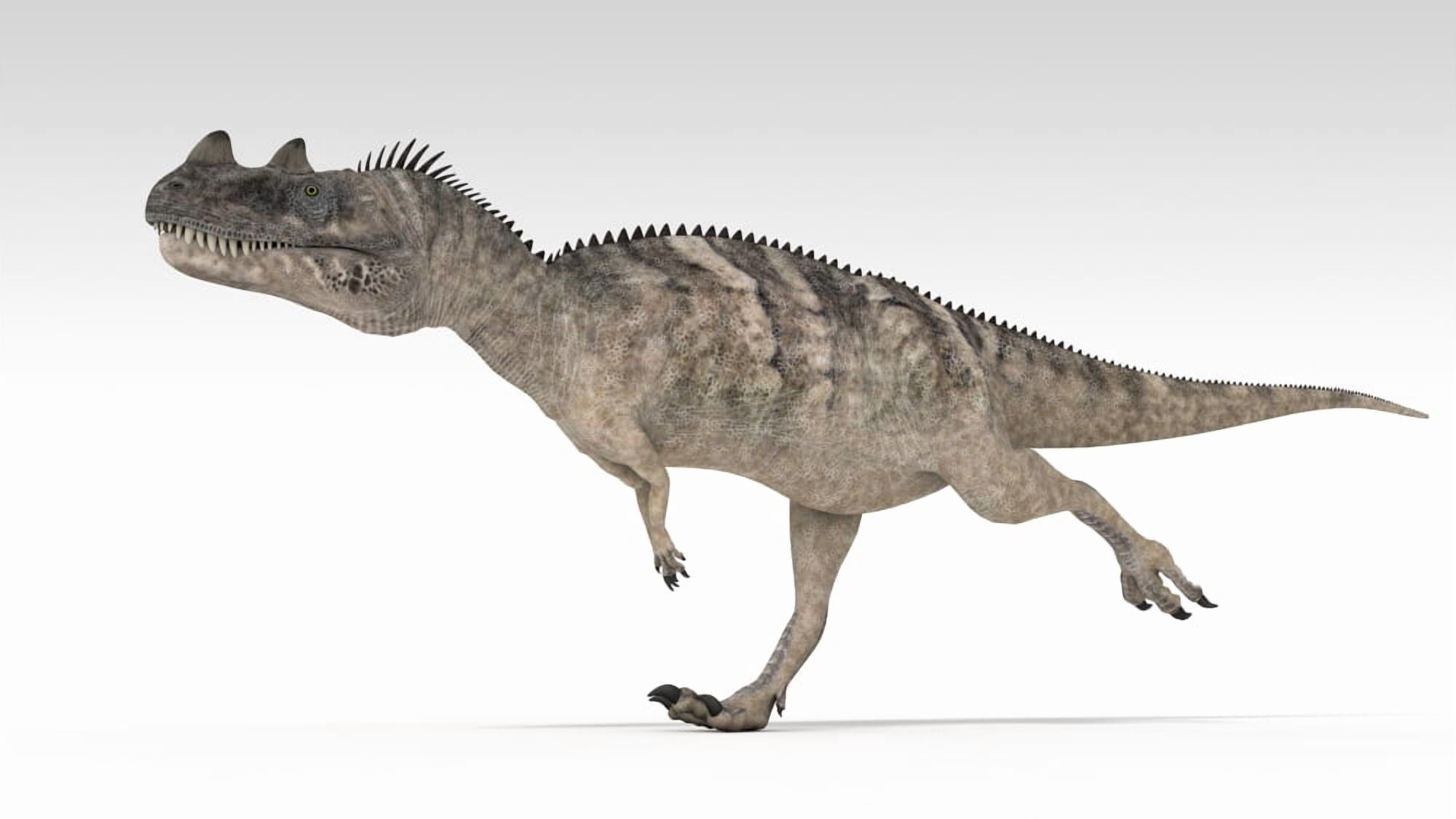 Ceratosaurus dinosaur white background Canvas Art - Kostyantyn IvanyshenStocktrek Images (38 x 22)