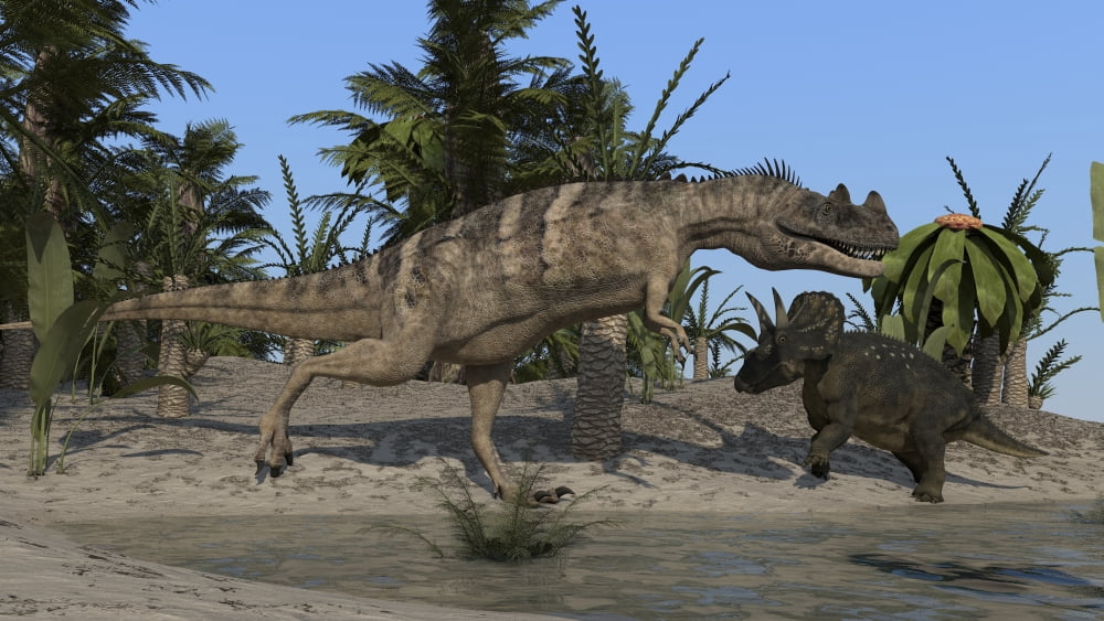 Ceratosaurus hunting down a Triceratops Canvas Art - Kostyantyn IvanyshenStocktrek Images (38 x 22)