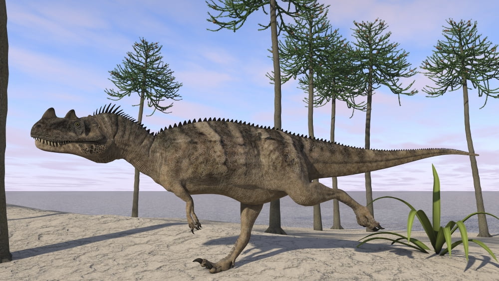 Ceratosaurus hunting for its next meal Canvas Art - Kostyantyn IvanyshenStocktrek Images (19 x 11)